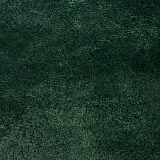 Обложка кожи 146