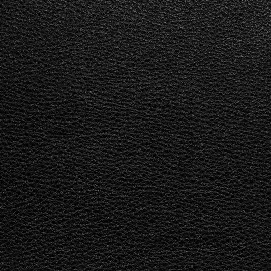 Обложка кожи 198