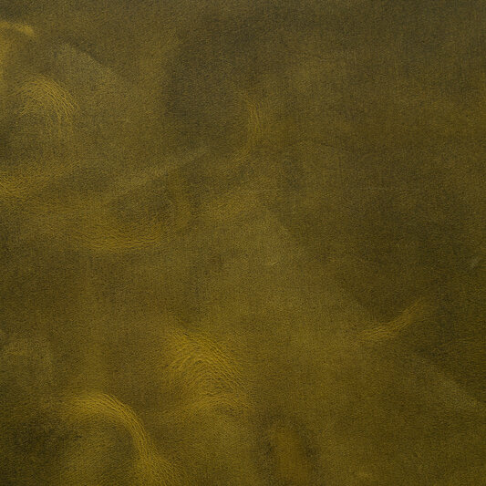 Обложка кожи 257