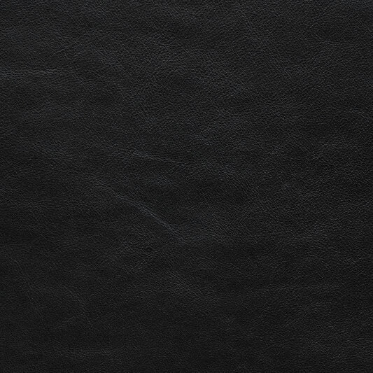 Обложка кожи 101