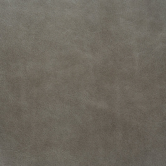 Обложка кожи 120