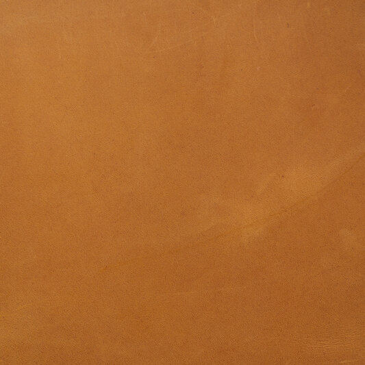 Обложка кожи 165