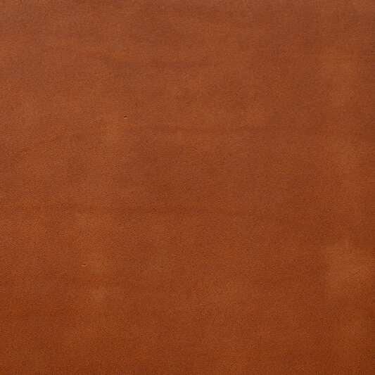 Обложка кожи 169