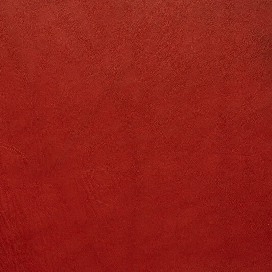 Обложка кожи 252