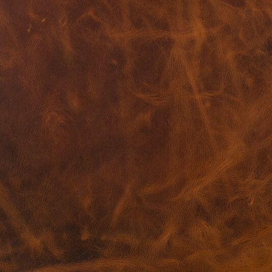 Обложка кожи 254