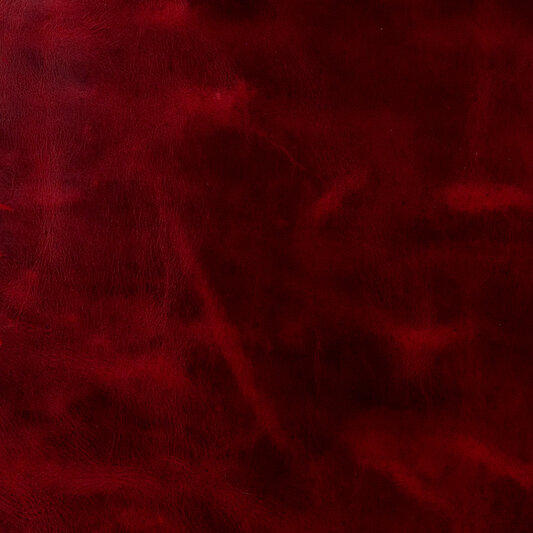 Обложка кожи 255